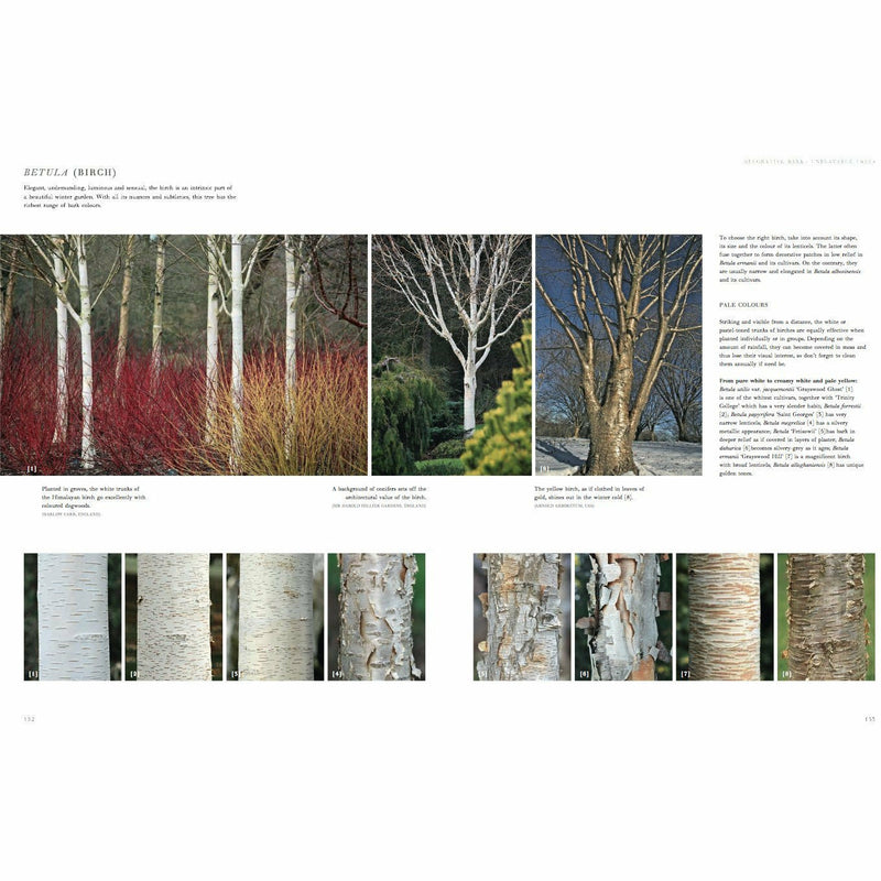 Winter Gardens: Reinventing the Season - The Book Bundle