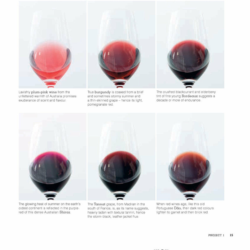 Hardcover copy of Andrew Jefford's Wine Course, a non-fiction book by Andrew Jefford, published by Ryland Peters & Small.