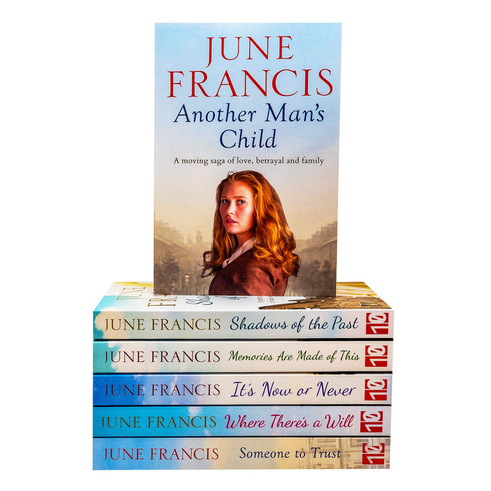 June Francis Collection 6 Books Set (Another Mans Child, Shadows of the Past, Memories Are Made of This, Its Now or Never, Someone to Trust) - The Book Bundle