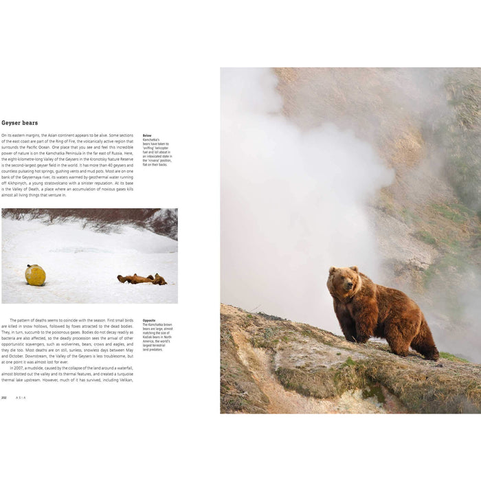 Seven Worlds One Planet - The Book Bundle