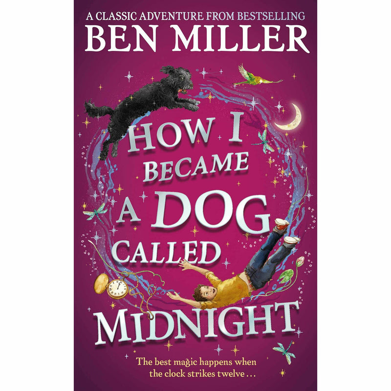 Ben Miller Collection 4 Books Set ( The Night I Met Father, The Day I Fell Into a Fairytale) - The Book Bundle