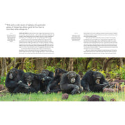 Dynasties: The Rise and Fall of Animal Families (TV Tie in) - The Book Bundle