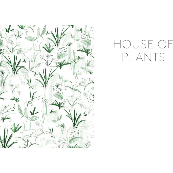House of Plants: Living with Succulents, Air Plants and Cacti - The Book Bundle