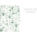 House of Plants: Living with Succulents, Air Plants and Cacti - The Book Bundle