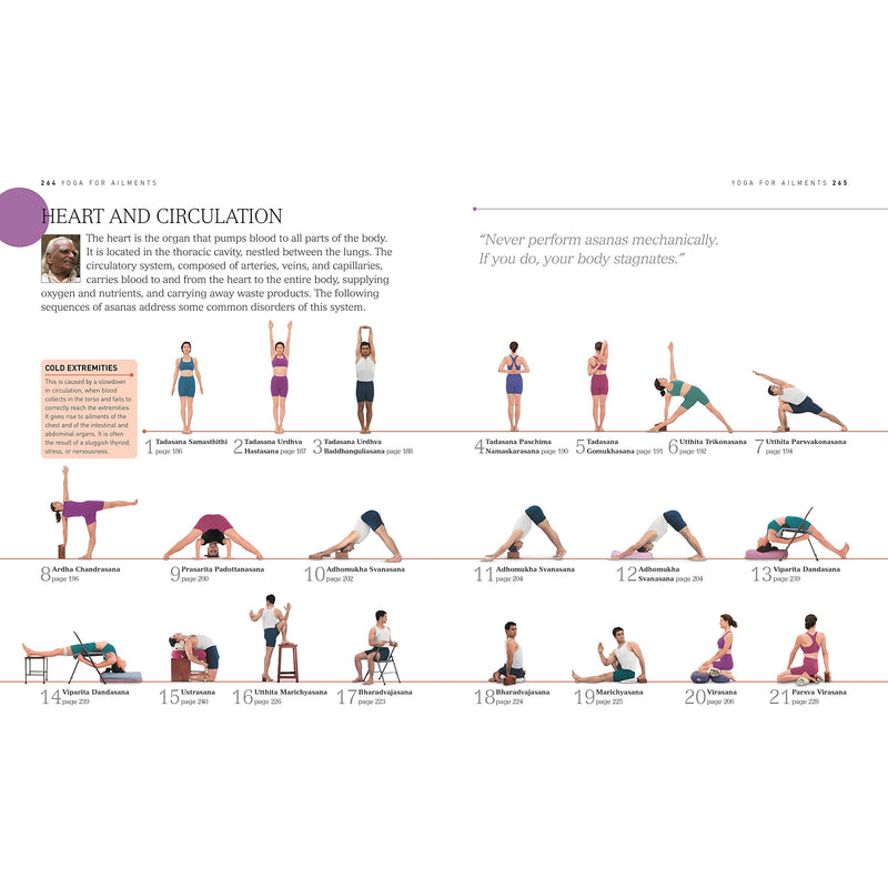 BKS Iyengar Yoga The Path to Holistic Health: The Definitive Step-by-Step Guide - The Book Bundle