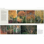 Winter Gardens: Reinventing the Season - The Book Bundle