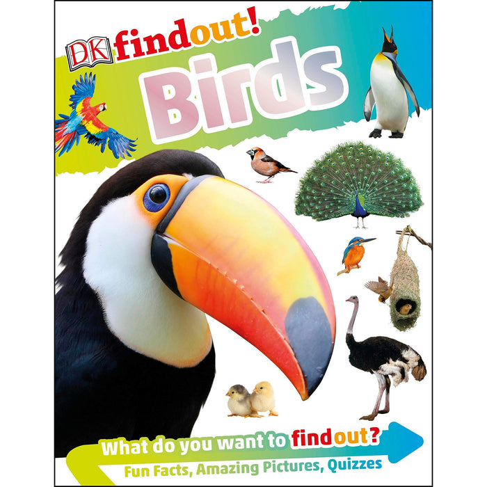 DK Findout! Series with Fun Facts and Amazing Pictures 4 Books Collection Set (Birds, Bugs, Sharks, Reptiles and Amphibians) - The Book Bundle