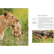 Dynasties: The Rise and Fall of Animal Families (TV Tie in) - The Book Bundle