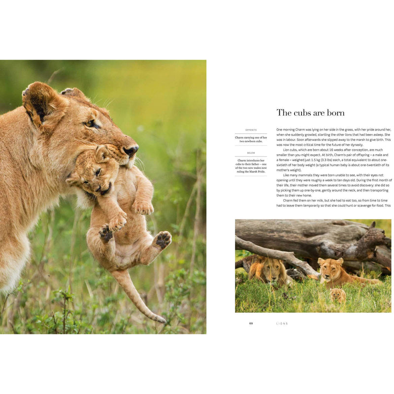 Dynasties: The Rise and Fall of Animal Families (TV Tie in) - The Book Bundle