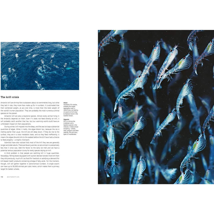 Seven Worlds One Planet - The Book Bundle