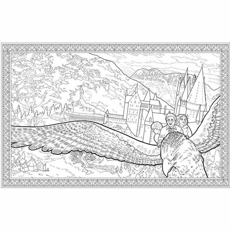 Harry Potter Colouring Book Celebratory Edition: The Best of Harry Potter colouring - The Book Bundle