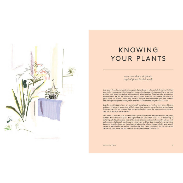 House of Plants: Living with Succulents, Air Plants and Cacti - The Book Bundle