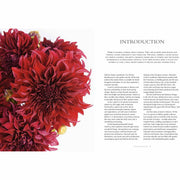 Dahlias: Beautiful varieties for home and garden (Beautiful Varieties/Home/Gardn) - The Book Bundle