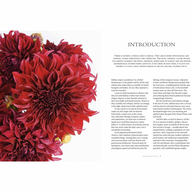 Dahlias: Beautiful varieties for home and garden (Beautiful Varieties/Home/Gardn) - The Book Bundle