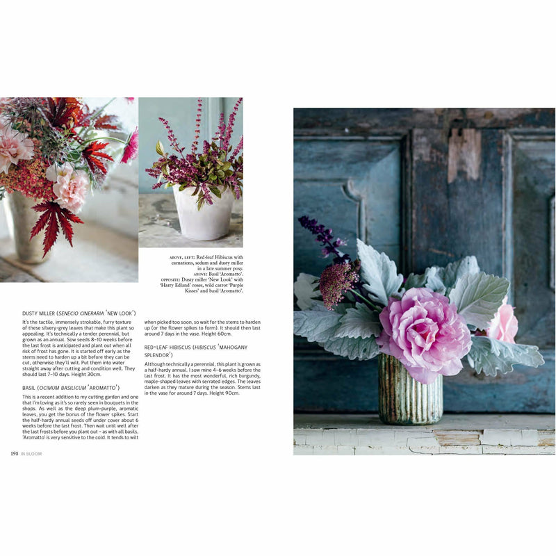 Hardcover book titled "In Bloom" by Clare Nolan, featuring vibrant floral illustrations on the cover.