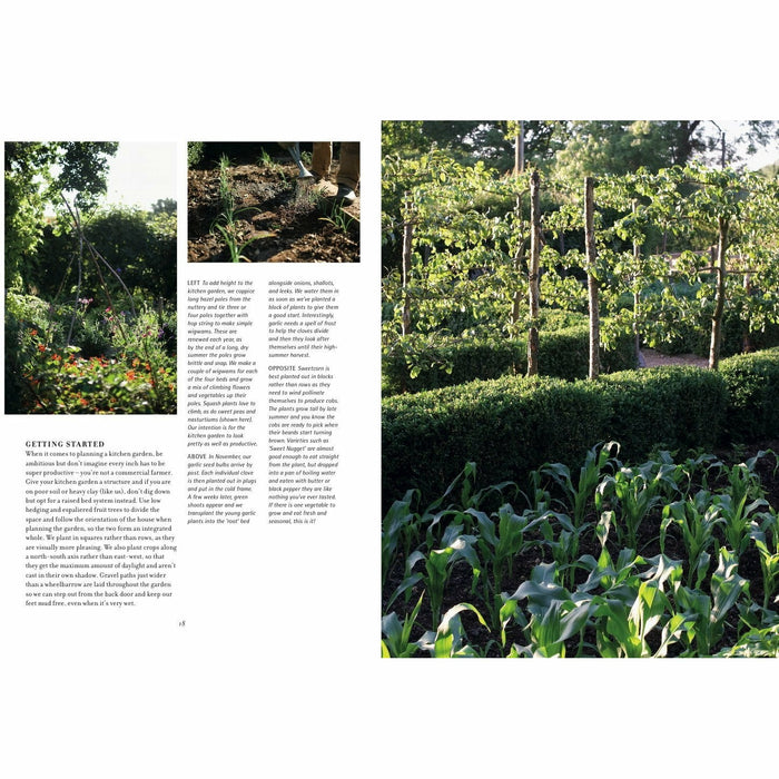 The New Homesteader: How to create a self-sufficient home farm - The Book Bundle