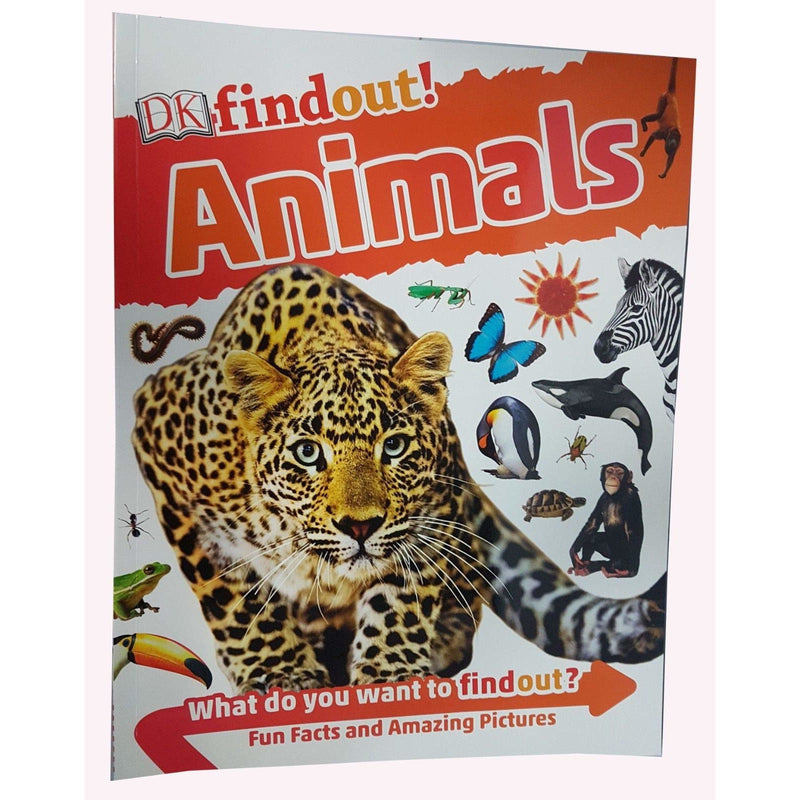 DK Findout! Series with Fun Facts and Amazing Pictures 6 Books Collection Set (Dinosaurs, Animals, Earth, Human Body, Science, Solar System) - The Book Bundle