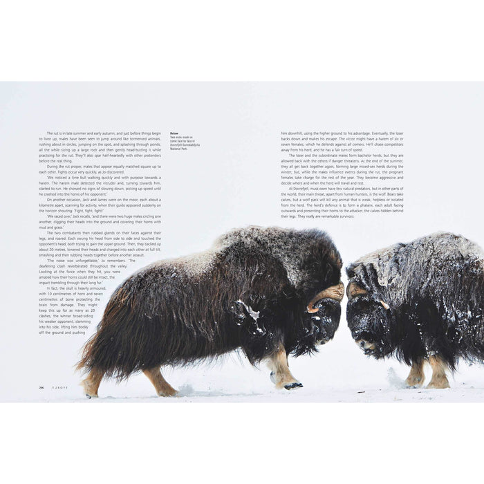 Seven Worlds One Planet - The Book Bundle