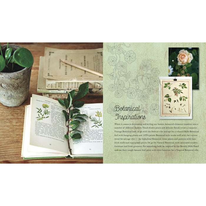 Botanical Style: Inspirational decorating with nature, plants and florals - The Book Bundle