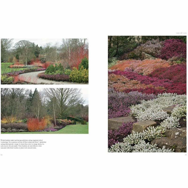 Winter Gardens: Reinventing the Season - The Book Bundle