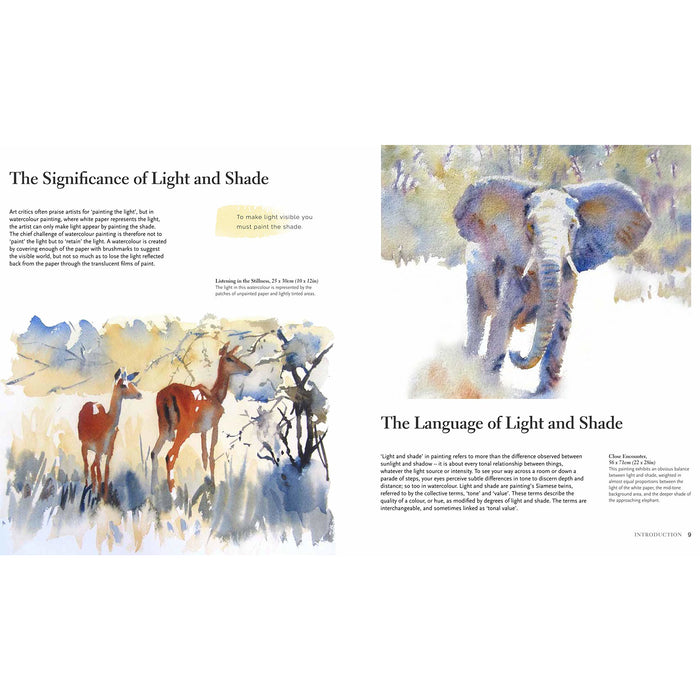 Light and Shade in Watercolour - The Book Bundle