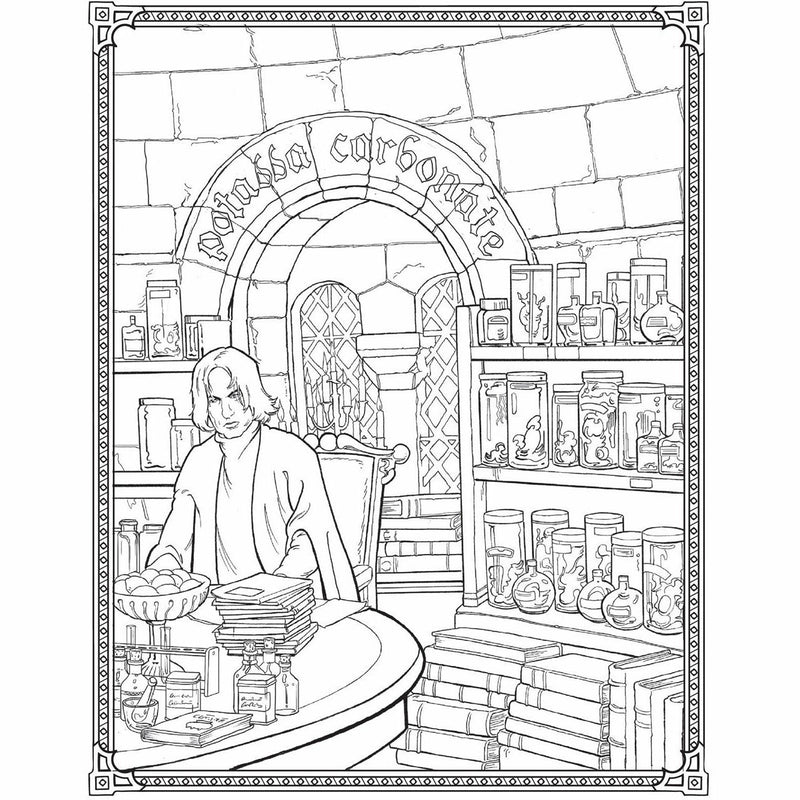 Harry Potter Colouring Book Celebratory Edition: The Best of Harry Potter colouring - The Book Bundle