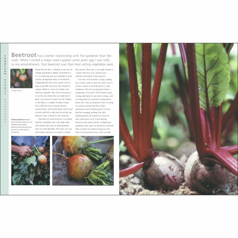 DK paperback of The Complete Gardener by Monty Don, showing the book cover with gardening illustrations and title.