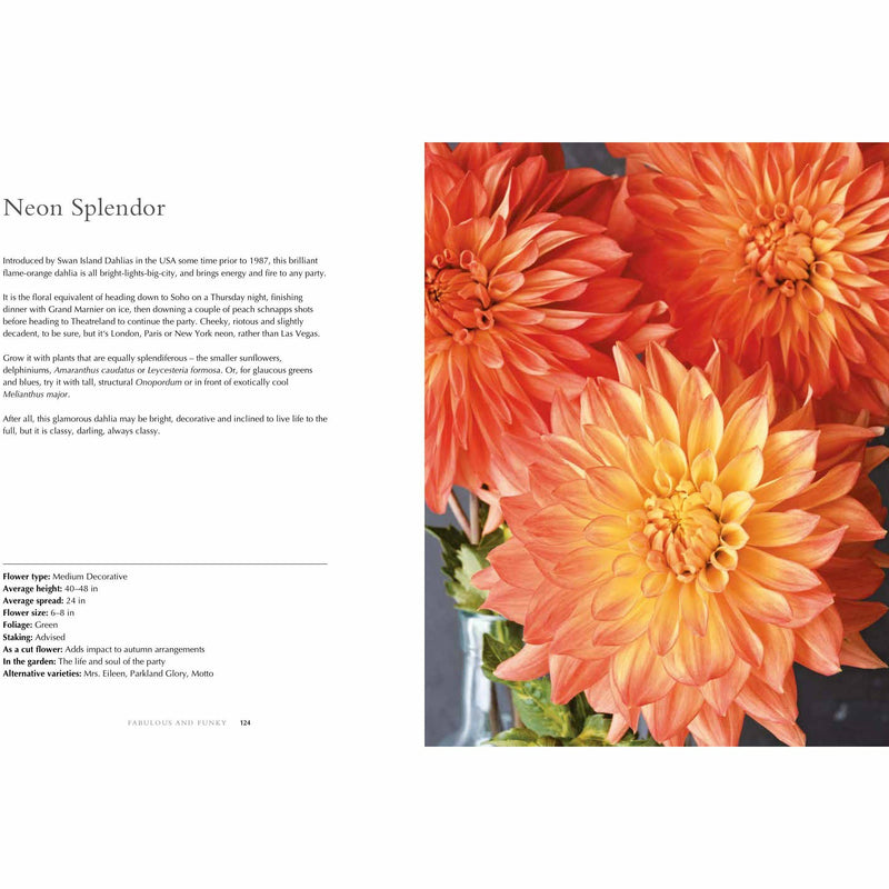 Dahlias: Beautiful varieties for home and garden (Beautiful Varieties/Home/Gardn) - The Book Bundle