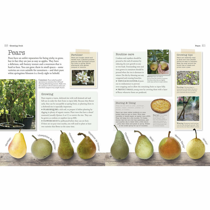 Allotment Handbook - The Book Bundle