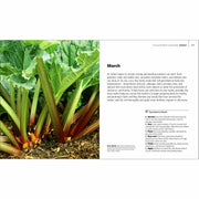 Hardcover book "Allotment Month by Month" by Alan Buckingham featuring gardening tips for growing fruits and vegetables.