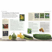 Hardback DK Allotment Handbook featuring gardening tips and illustrations for successful vegetable and flower growing.
