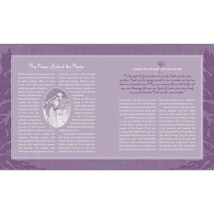 The Good Witch's Guide: A Modern-Day Wiccapedia of Magickal Ingredients and Spells - The Book Bundle