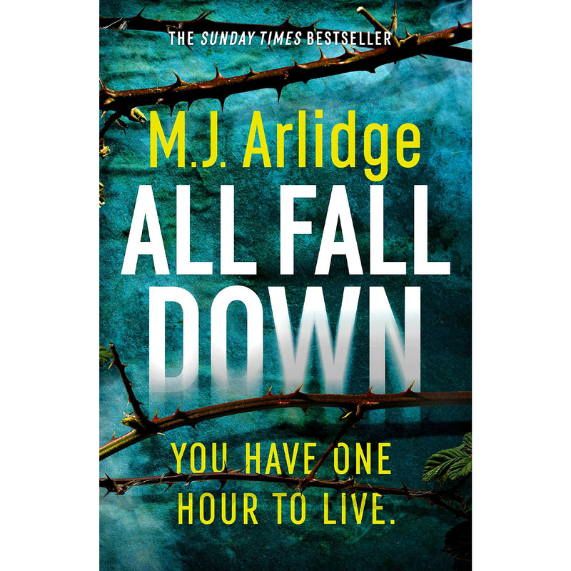 Detective Inspector Helen Grace Series By M. J. Arlidge 6-10: 5 Books Set - The Book Bundle
