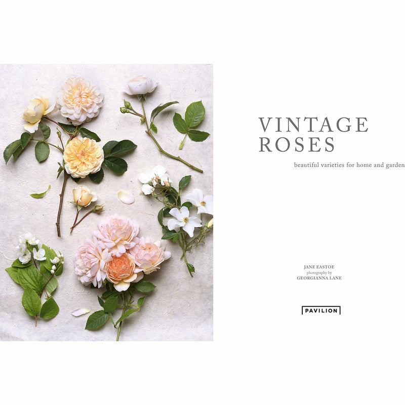 Hardcover book titled "Vintage Roses" by Jane Eastoe, featuring colorful vintage rose illustrations on the cover.