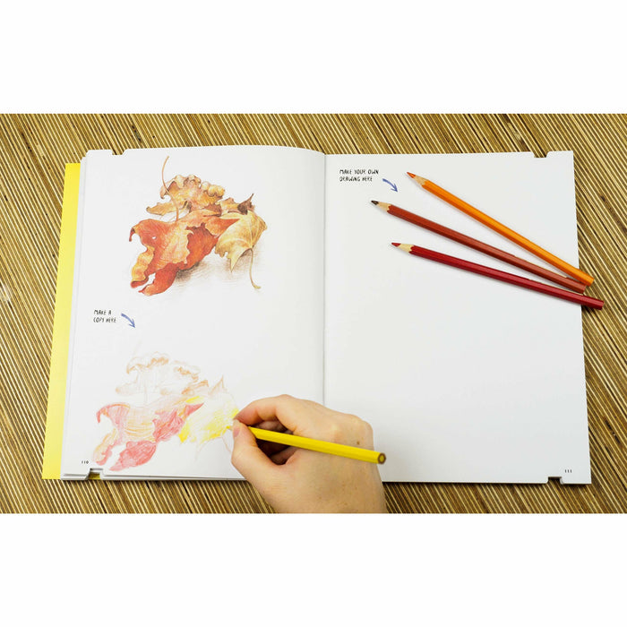You Will be Able to Draw by the End of This Book: Coloured Pencils - The Book Bundle