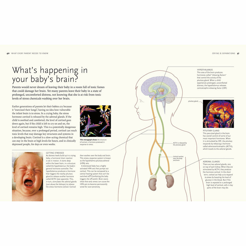 What Every Parent Needs To Know By Margot Sunderland - The Book Bundle