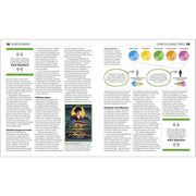 The Sociology Book: Big Ideas Simply Explained - The Book Bundle