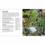 Hardcover book titled "Allotment Month by Month" by Alan Buckingham, featuring gardening tips for growing fruits and vegetables.