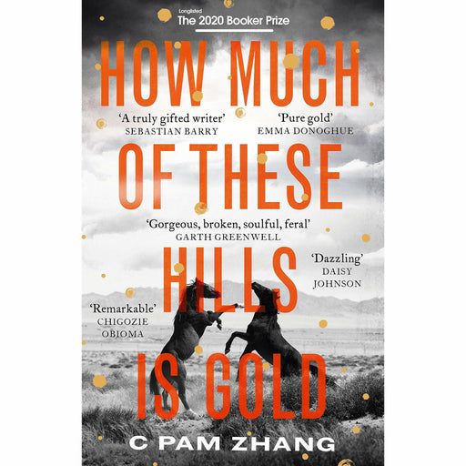 How Much of These Hills is Gold: Longlisted for the Booker Prize 2020 - The Book Bundle