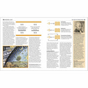 The Philosophy Book - The Book Bundle