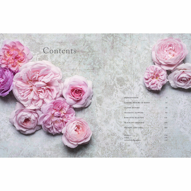 Hardcover book cover of "Vintage Roses" by Jane Eastoe, featuring illustrations of various beautiful rose varieties for home and garden.