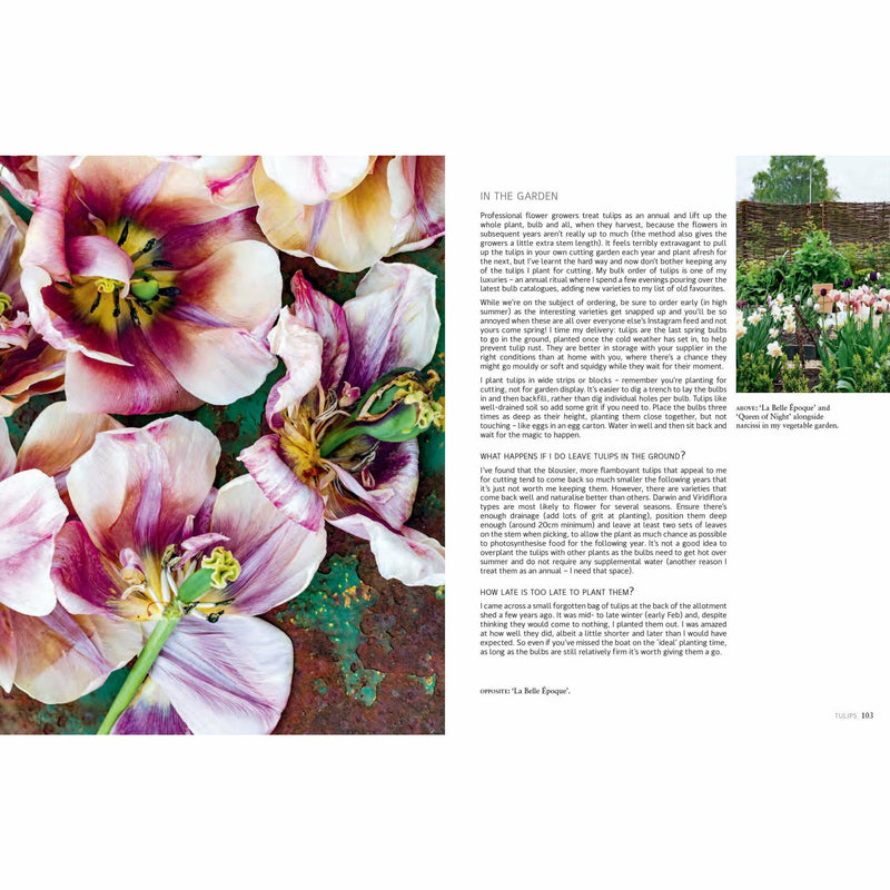 Clare Nolan's hardcover book "In Bloom" showing colorful flower illustrations on the cover, about growing and arranging flowers year-round.
