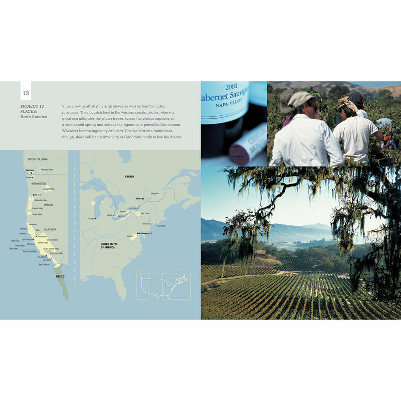 Hardcover book titled "Andrew Jefford's Wine Course" by Andrew Jefford, published by Ryland Peters & Small, featuring wine education.