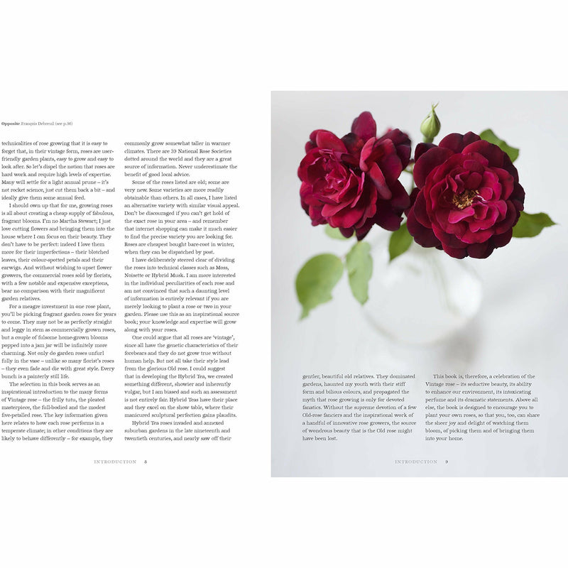 Hardcover book titled "Vintage Roses" by Jane Eastoe, featuring colorful rose illustrations for home and garden decoration.