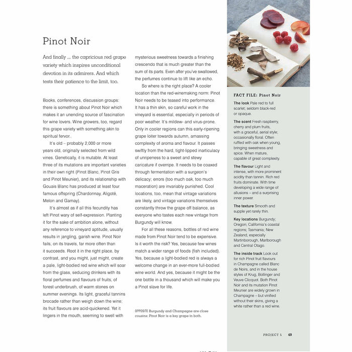 Andrew Jefford's Wine Course - The Book Bundle