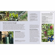 Hardcover book "Allotment Month by Month" by Alan Buckingham showing a gardening guide with colorful vegetable and fruit illustrations.