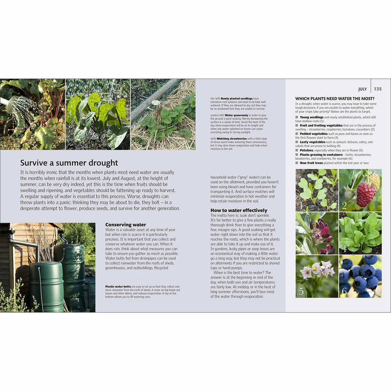 Hardcover book "Allotment Month by Month" by Alan Buckingham showing a gardening guide with colorful vegetable and fruit illustrations.