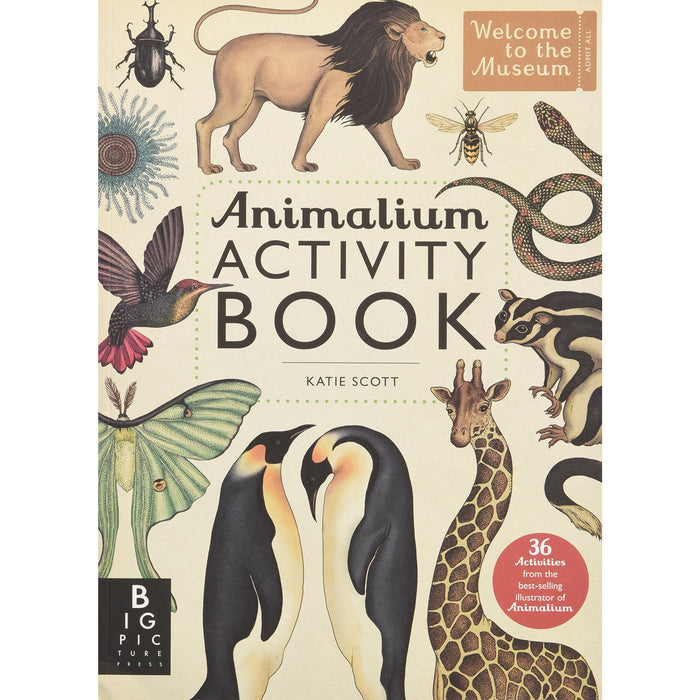 Animalium Activity Book (Welcome To The Museum) - The Book Bundle