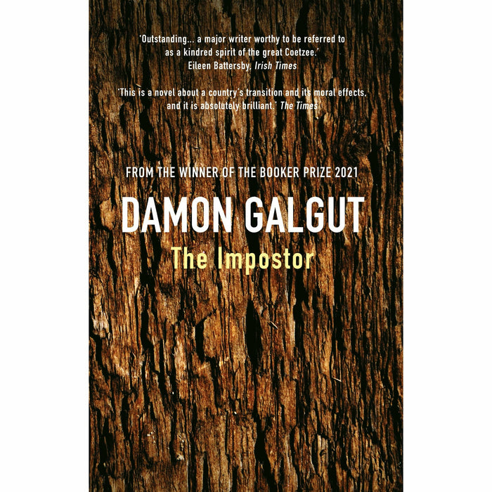 THE PROMISE Series By Damon Galgut 4 Books Set (Promise, Arctic Summer, In a Strange Room, The Impostor) - The Book Bundle