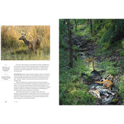 Dynasties: The Rise and Fall of Animal Families (TV Tie in) - The Book Bundle